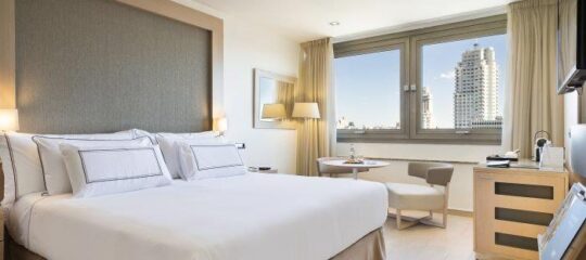 Melia Madrid Princesa